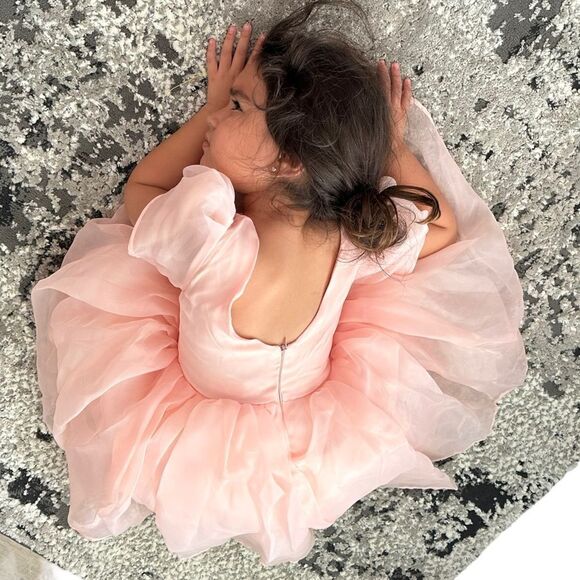 NNJXD | Blush | FLOWER GIRL PUFF SLEEVES ORGANZA DRESS - Picture 12 of 15